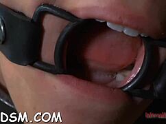 naked tied up beauty engulfing hard toy dildo hungrily