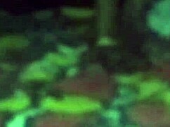 Did you see him lift the sleeping bhabhi for fucking?