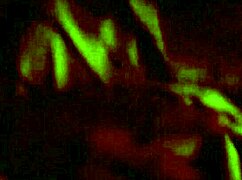 Casual Video from March 16, 2017, Featuring Bisexual Moments