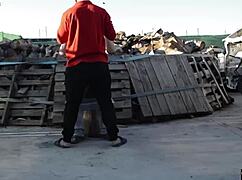 fucking on a log outdoors, this horny couple couldn't wait. their public display turned heads with raw passion.