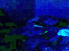 We Painted Our Bodies