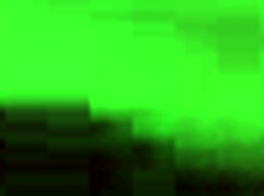 Slutty Roxy Sucks Two Dildos While Getting Fucked Doggy!