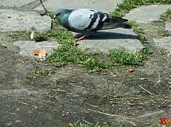 i turned a romantic date with lindsey vood into steamy anal action.