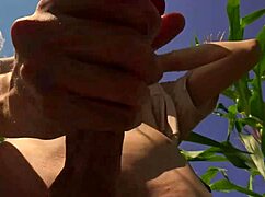 couple helps twink friend in cornfield