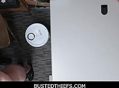 Bustedthiefs joseline kelly spreads legs for freedom