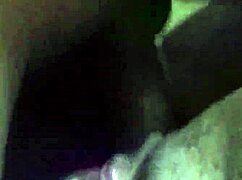 Casal Amador Transando