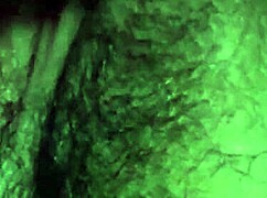 Casal Amador Transando