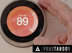 pure taboo naturally stacked bella rolland in heat goes wild for ac repairman 😍