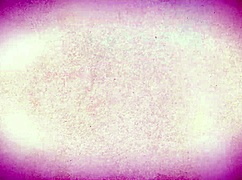 Hot Asian Kimmy Kim Rides Monster Cock In Halloween Costume