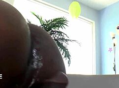 Bio girl toys black shemale ass