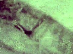 Dark Lantern Entertainment's Erotic Sea Voyage