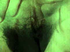 Dark Lantern Entertainment's Erotic Sea Voyage