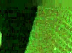 i teased the uber driver and let him touch my pussy