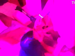 Wow, That Blowjob Before She Leaves With Her Boyfriend And Lets Herself Be Recorded!