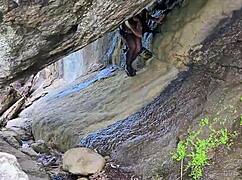 Lost kitten sipping milk from stranger