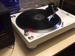 Gay guy seeks big cock online