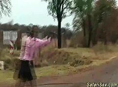 african jeep adventure with shy group in chocolate setting