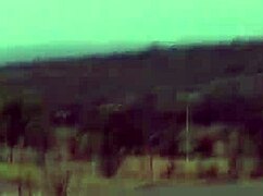 african jeep adventure with shy group in chocolate setting