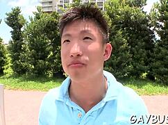 Blindfolded Stud Tricked Into Sucking Hunk's Cock! Intense Oral Action Unleashed!