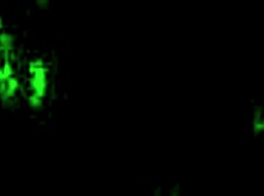 Vintage Erotic Drawings From Comics And Anime Hentai