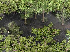 Milf in threesome cowgirl riding, assfucking with cum on ass and squirting in lust epidemic.