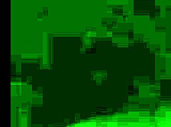 Couple's Public Outdoor Sluts Fucking