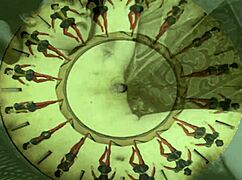 i love this vintage erotic art collection so much