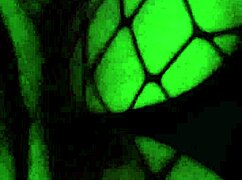 mi amigo me cogio de vuelta, lo extrañaba ya?