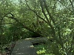 watch chubby german ashley cum star handle a horde of eager men.