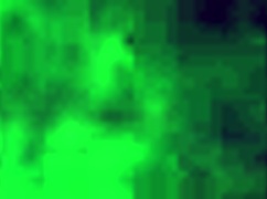 quarantine oily horny brownie, ass oiled up?