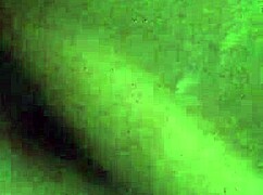 quarantine oily horny brownie, ass oiled up?