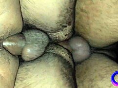 Four Machos in a Box Unleash Group Sex Desires 😍