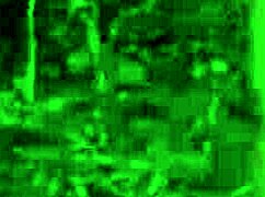 Tiffany Montavani Fucks Pitoco At Waterfall.