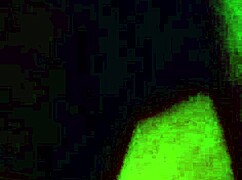 Black Couple Engages in Wet Pussy Riding and Intense Cock Action.