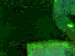 Amateur deepthroats cock in intense blowjob