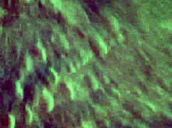 This is good head and deepthroat part 2