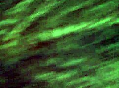 This is good head and deepthroat part 2