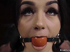 Fresh pale brunette dives into tight bondage