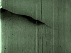 vintage erotic drawings collection