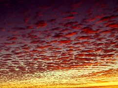 ain't gonna be no side piece issa from episode 6 part 2 sfw version