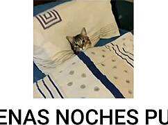 Top 5 countrys with the loudest stomack rumbles