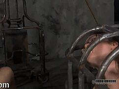 I endure extreme sadomasochism.