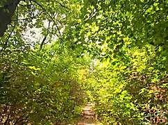 Prosím, nepřestávej, stříkej dovnitř teď