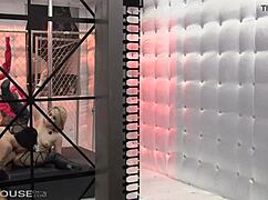 Exotic blonde stripper ash hollywood performs glamour cowgirl riding