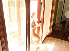 I turned into my boss's cum bucket to keep my job, riding his monster cock for a facial cumshot