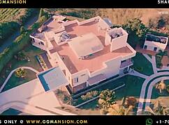 Brunette toes sucked passionately 😘