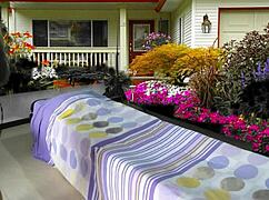 Preview of Taking Care of My Baby with Agarabas and Olpr