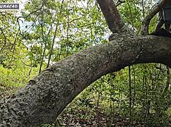 i use my brunette slut outdoors for interracial anal in nature