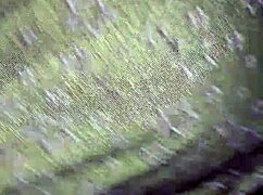 Stepfather warns, never leave stepdaughter alone for anal fun