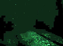 vintage erotic drawings that’ll take you back in time